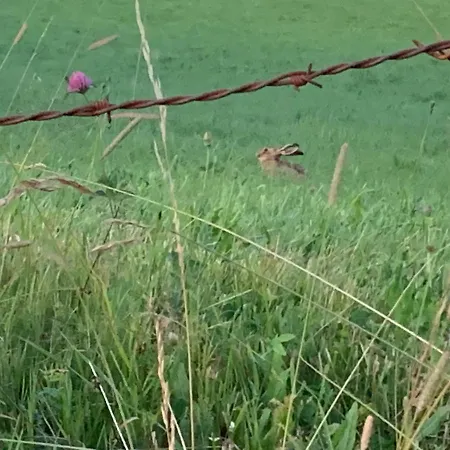 Ferienhaus Fontanies En Aubrac