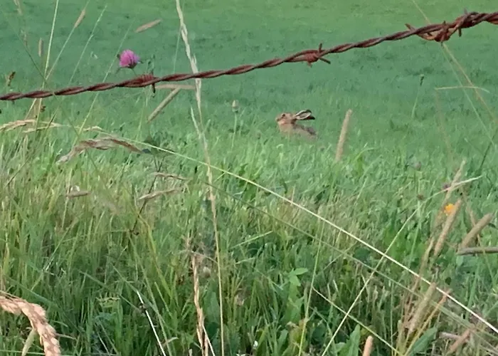 Holiday home Fontanies En Aubrac